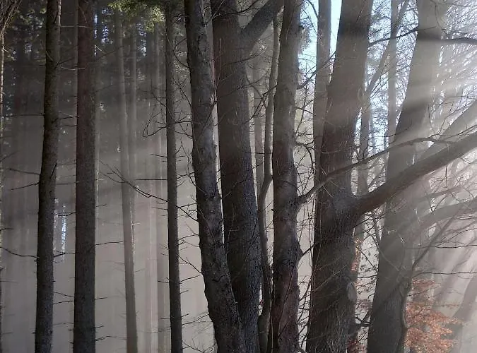 Konukevi Adrspach 